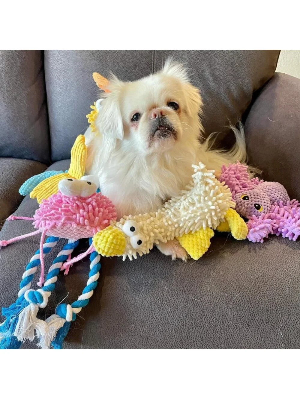 5 Pack Plush Squeaky Dog Toys - Soft Crinkle Chew Toys for Small & Medium Breeds